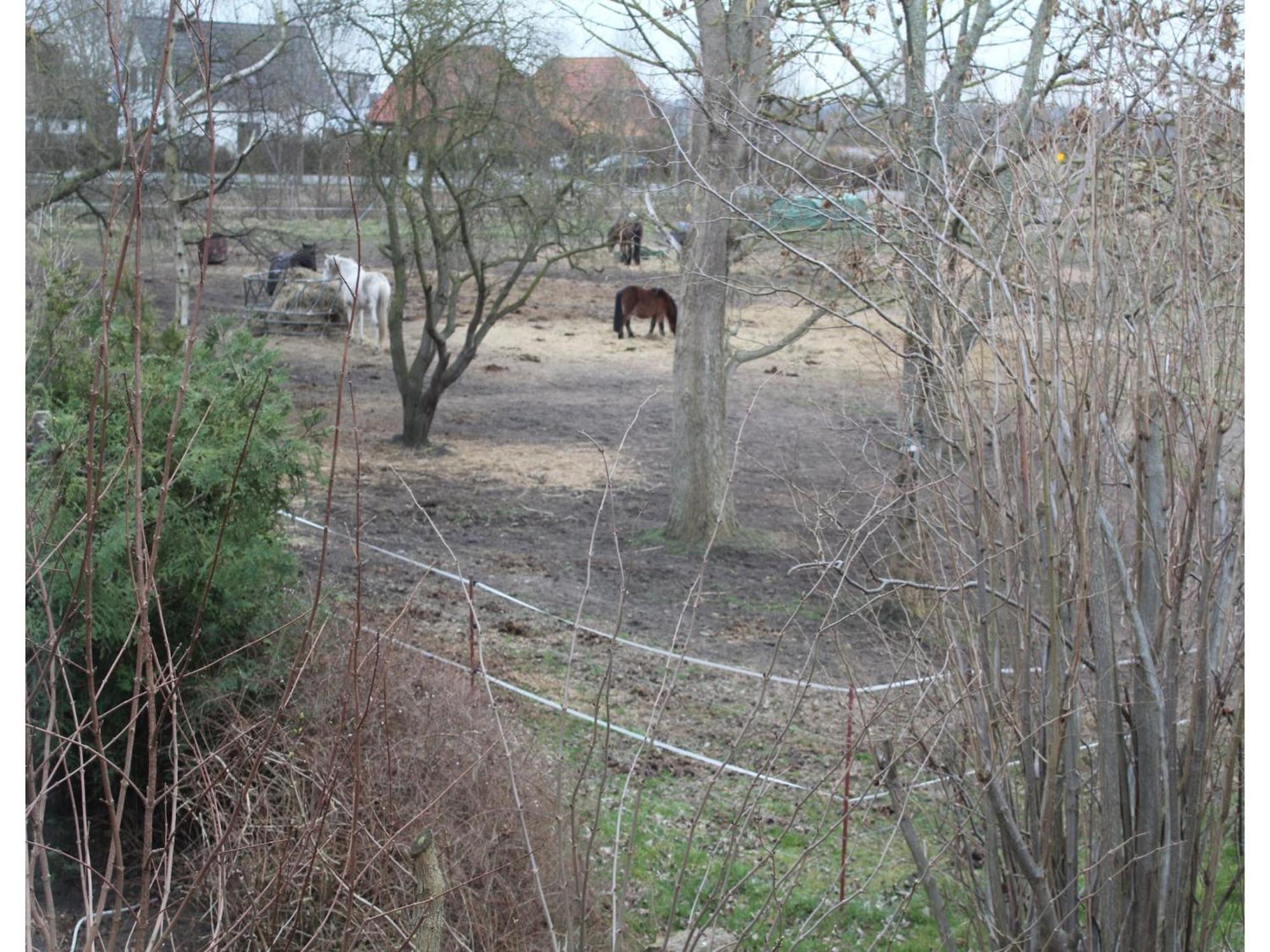 Child Friendly Bungalow In B Rgerende Rethwisch Boergerende-Rethwisch Luaran gambar
